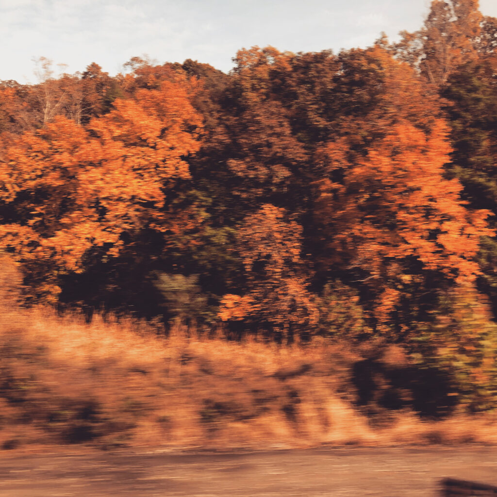 Autumn in New England photo by Christopher Draghi