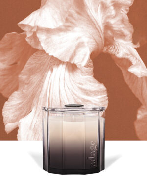 aétai large candle by source adage fragrances