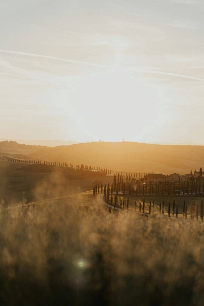 Tuscan landscape inspiration for source adage fragrances